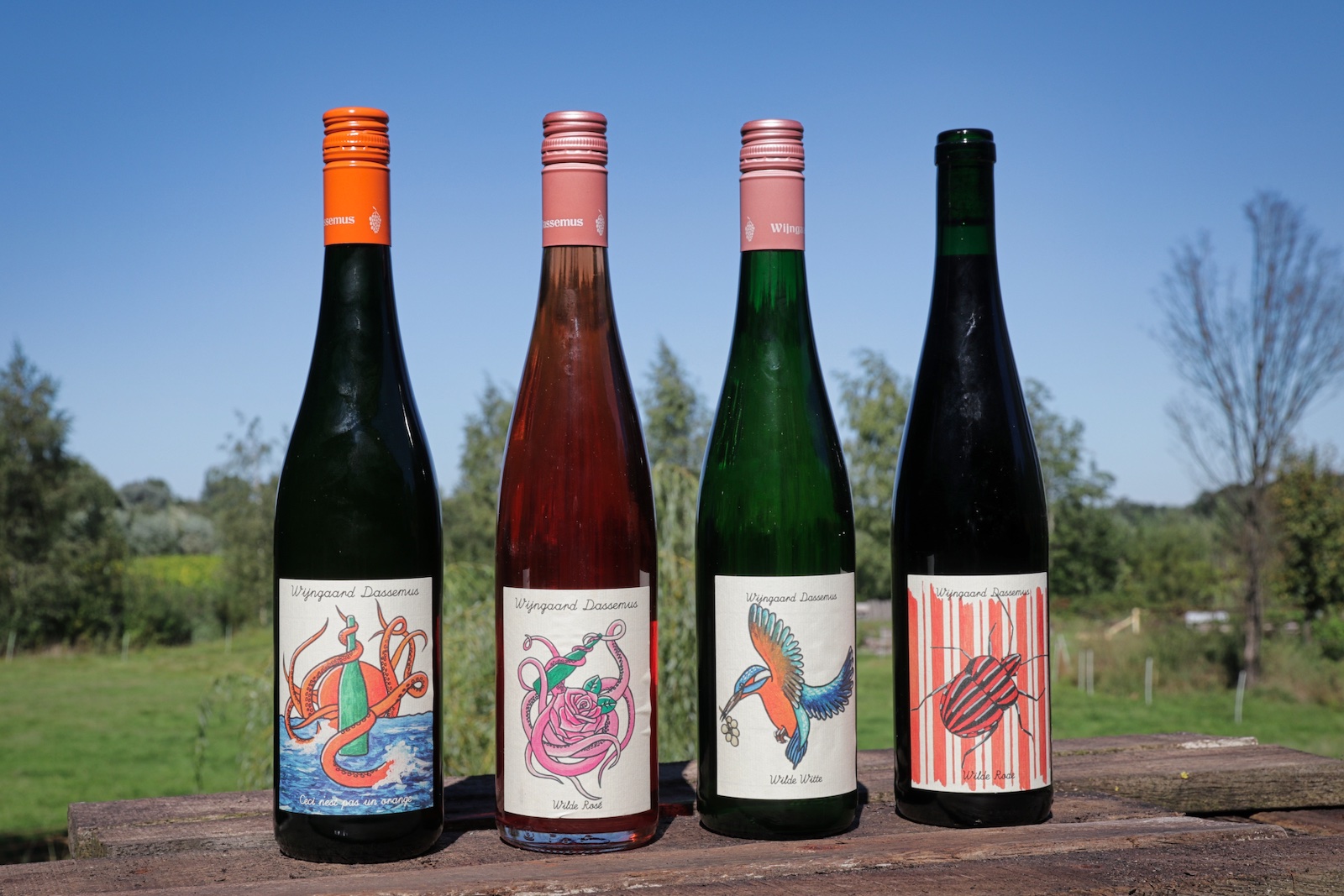 Wines of Wijngaard Dassemus