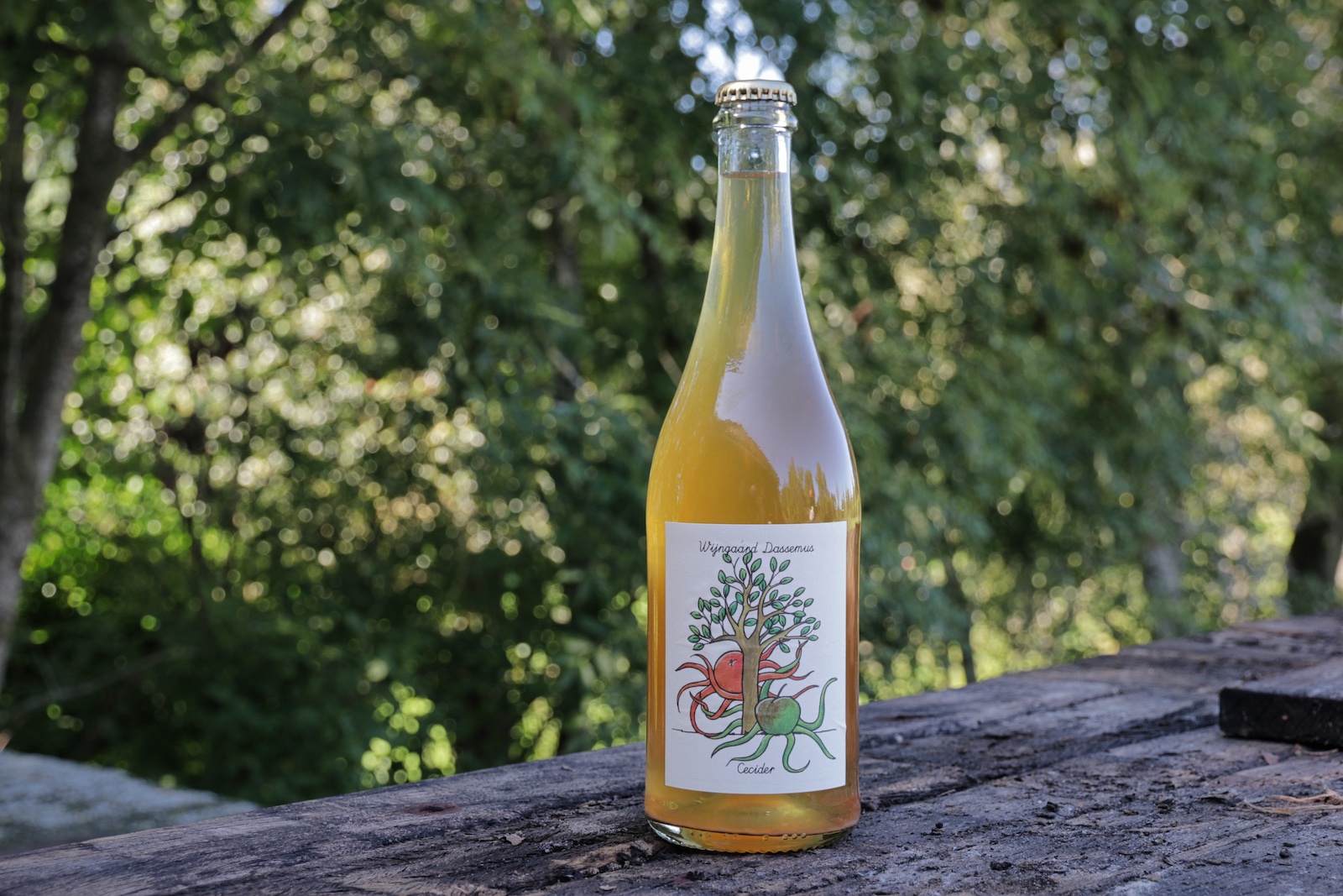 Cecider, een appel cider crossover van Wijngaard Dassemus