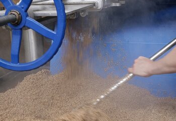 Collecting spent grain after brewing at Brouwerij Eleven