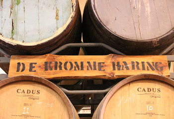 Wijn en whisky vaten voor vatgerijpte bieren bij De Kromme Haring 