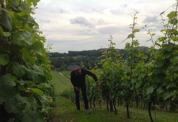 Dutch winemaker Mathieu Hulst at work in the vineyards of Wijngaard Apostelhoeve