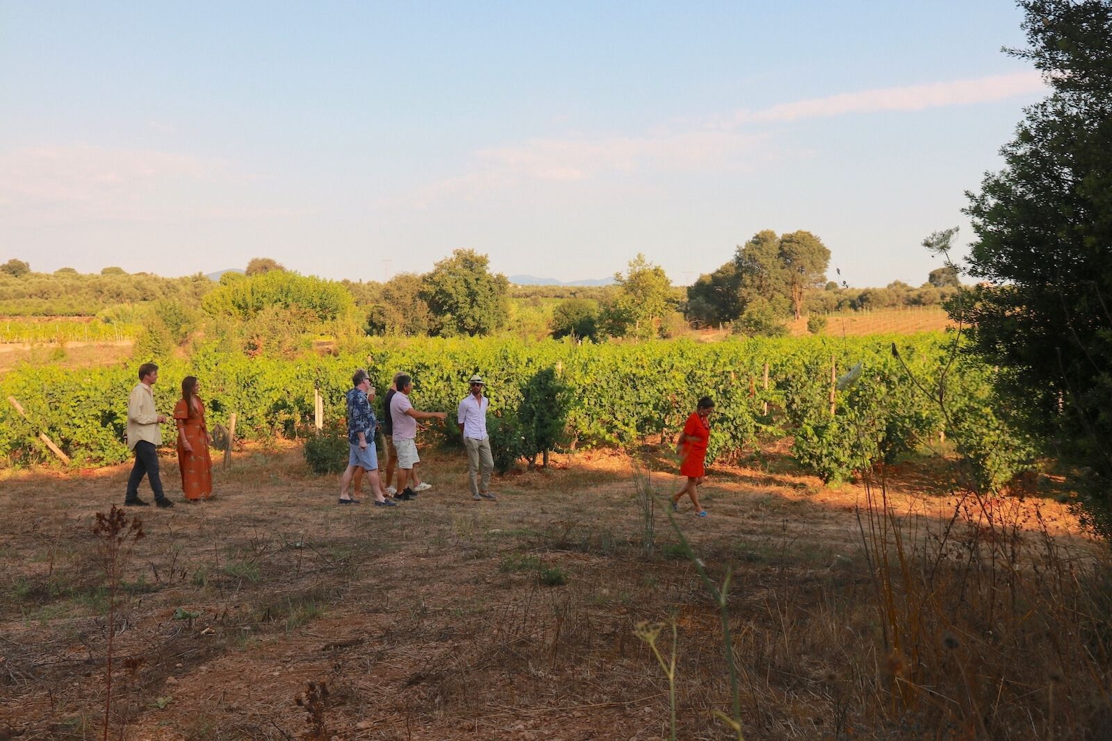 Wijngaard rondleiding bij Domaine Dereskos in Gargaliani