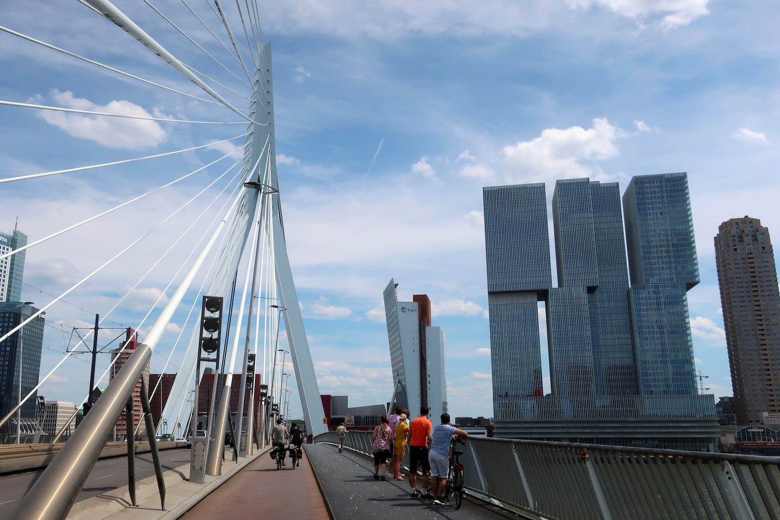 Erasmus Bridge in Rotterdam