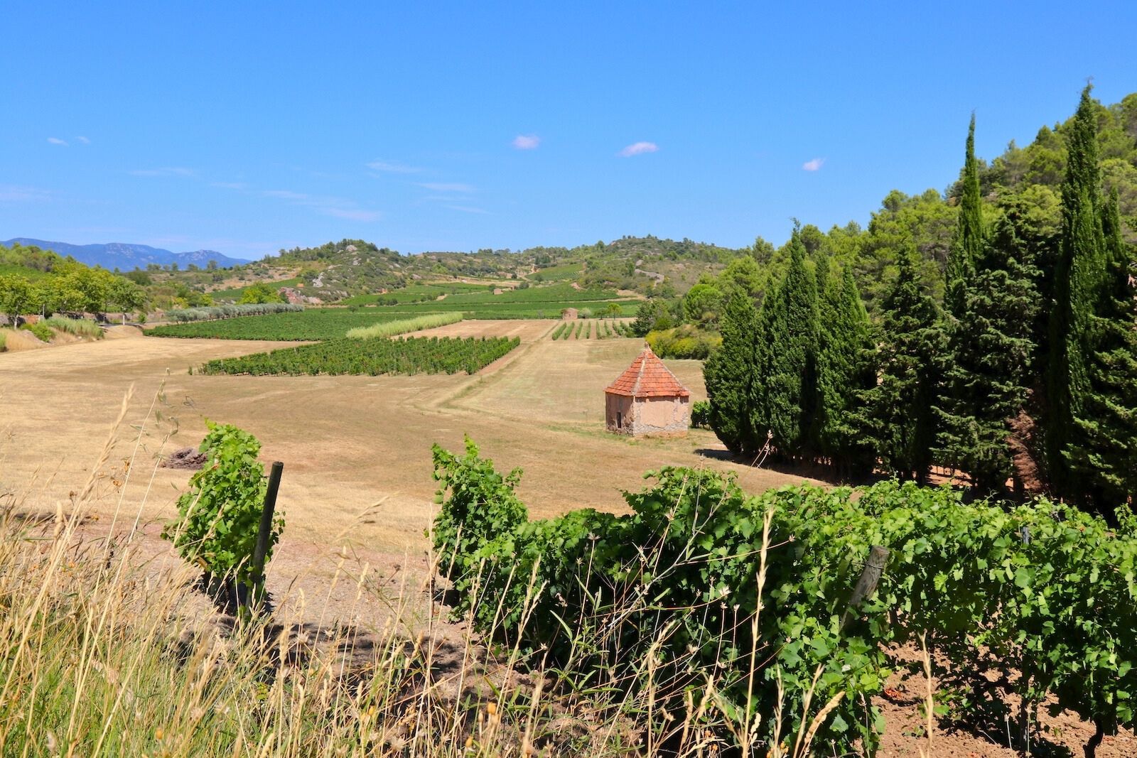 Het zuidelijke deel van de appellation Saint-Chinian in de Languedoc