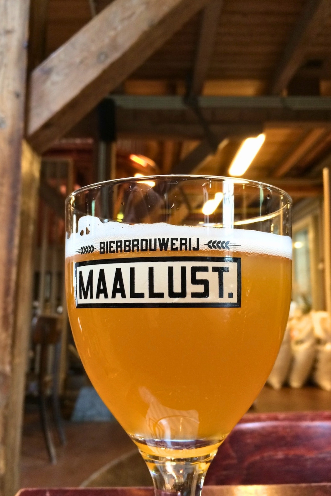 Maallust beer, fresh from tap