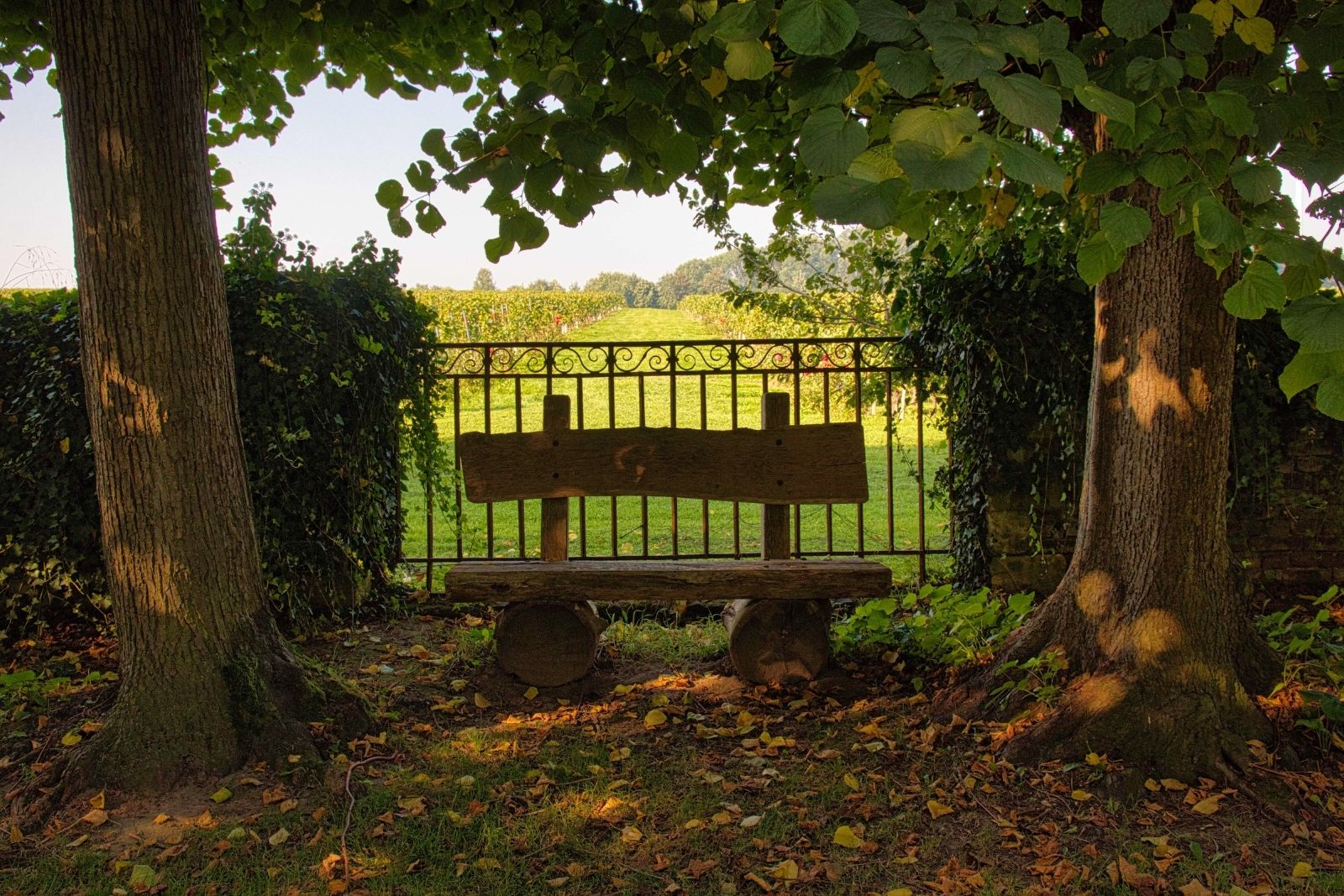 Romantic hideaway in the park of Wine Castle Genoels-Elderen