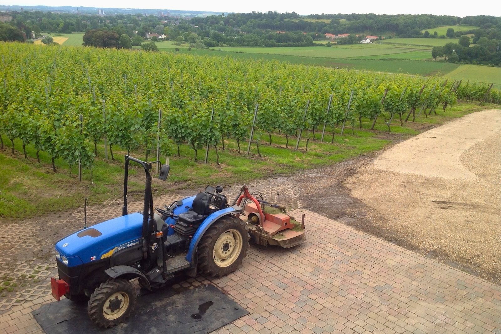 Top view over the vineyards of Apostelhoeve Wine Estate in Maastricht