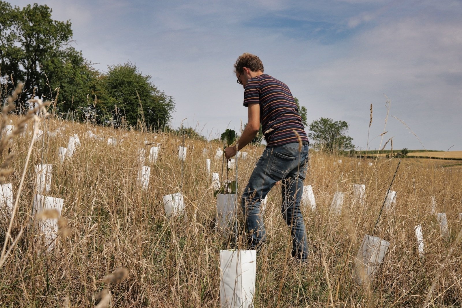 Chris Pelzer in de nieuw aangeplante wijngaard van Domein Aldenborgh