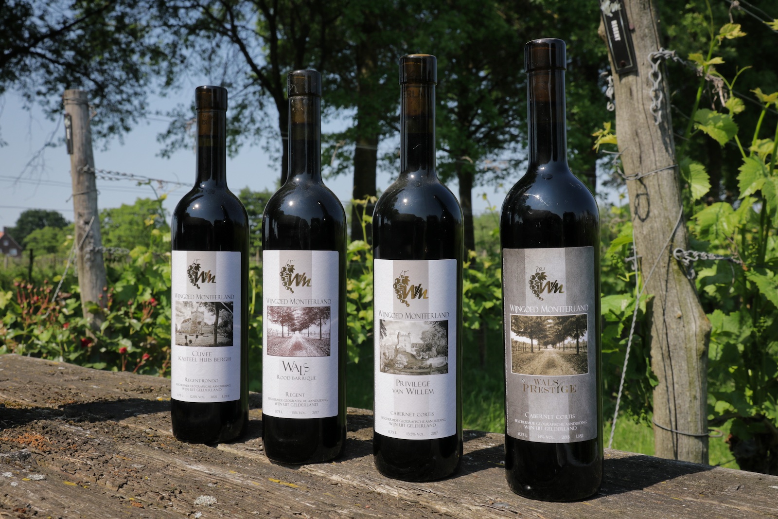 Selection of red wines from Wijngoed Montferland