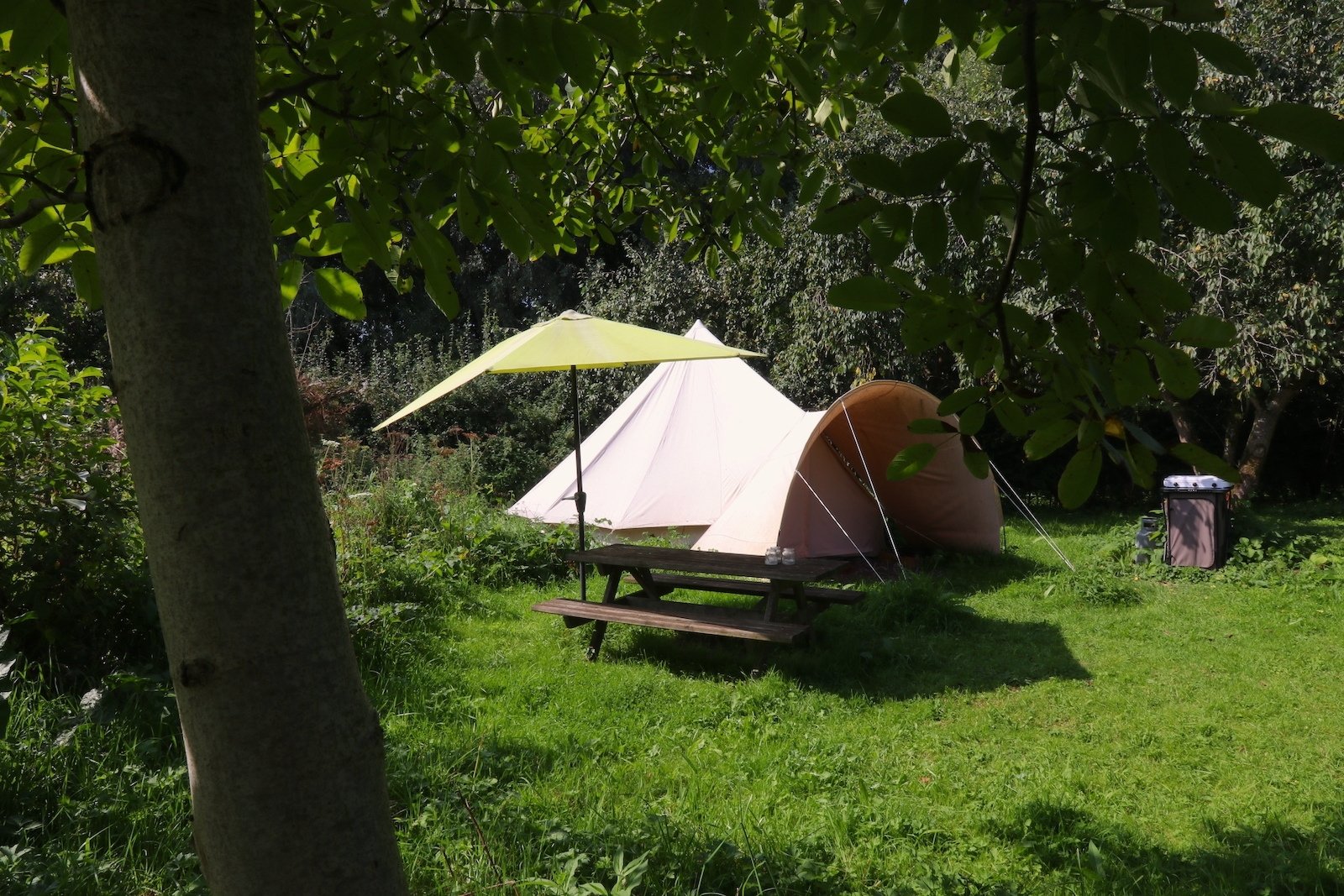 Camp site at Dutch winery Oude Waalstroom