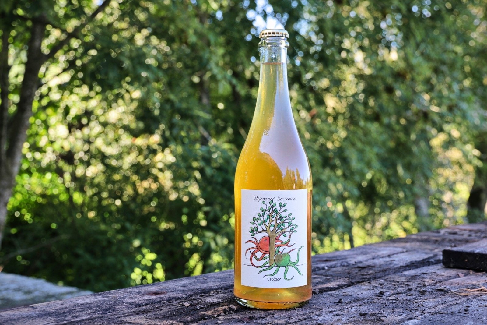 Cecider, an apple cider crossover produced by Wijngaard Dassemus