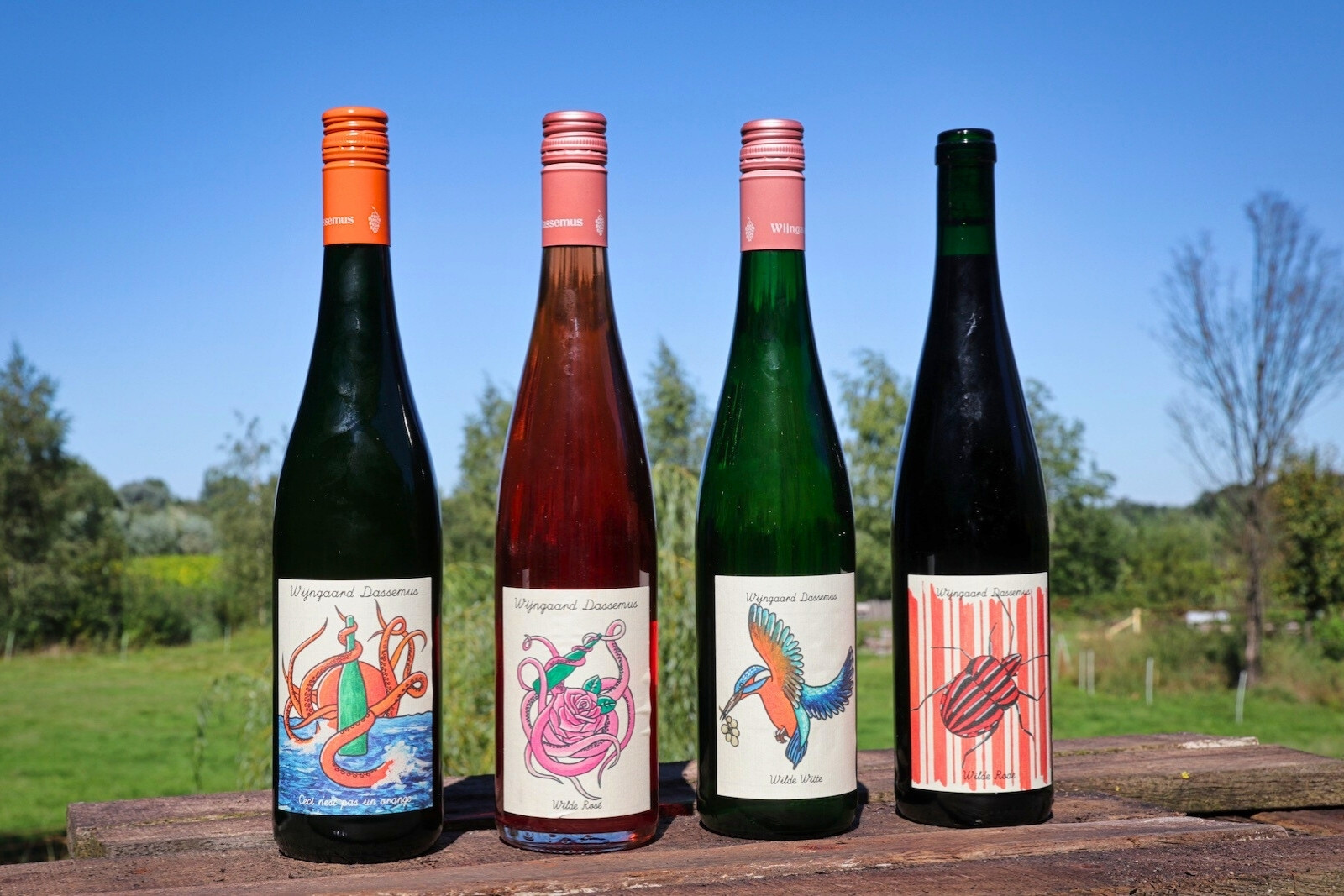 Wines of Wijngaard Dassemus in Chaam