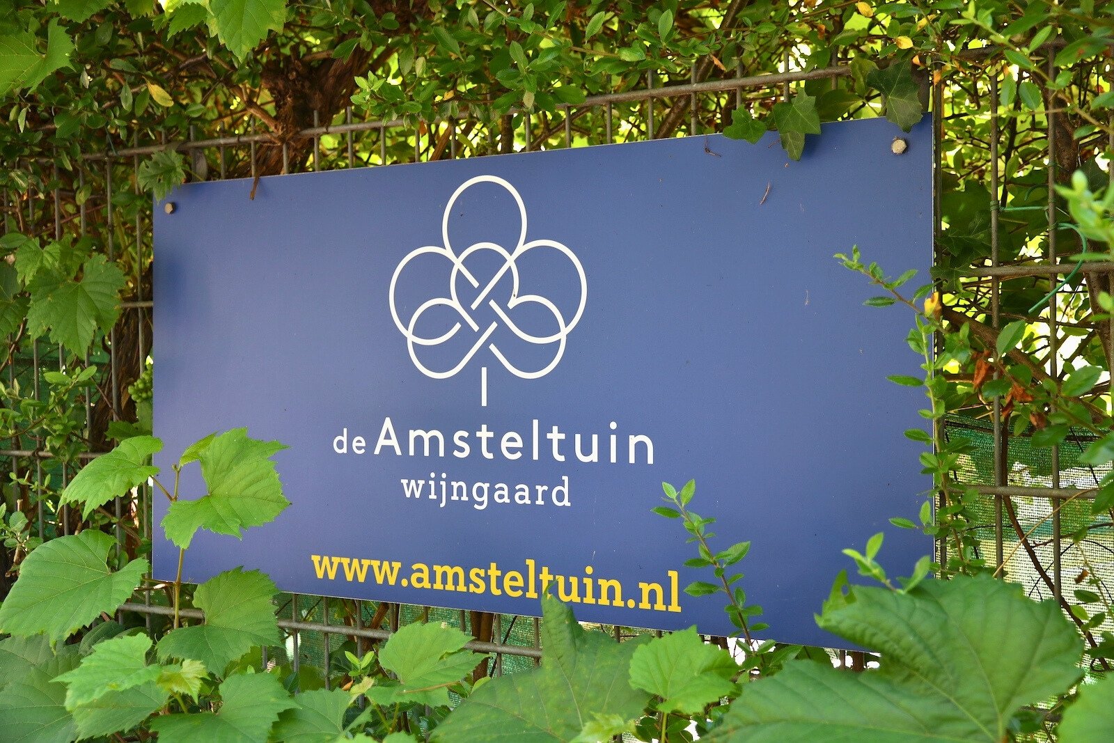 Wijngaard De Amsteltuin in Amstelveen