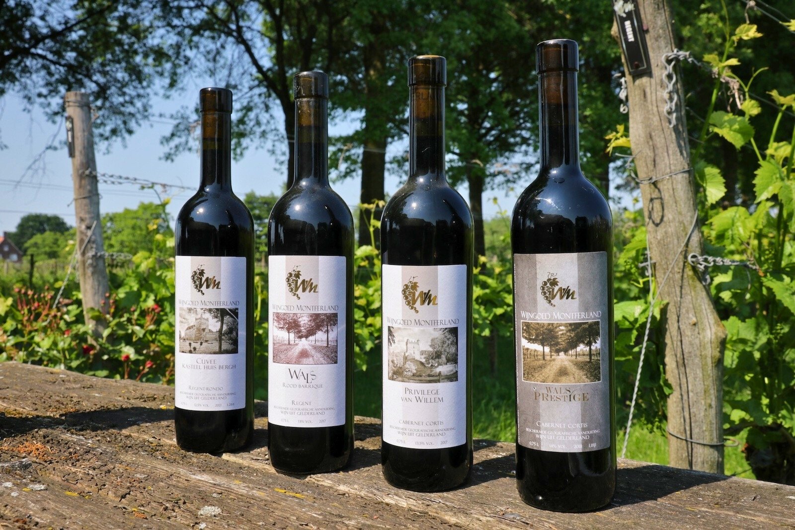 Selection of red wines from Wijngoed Montferland