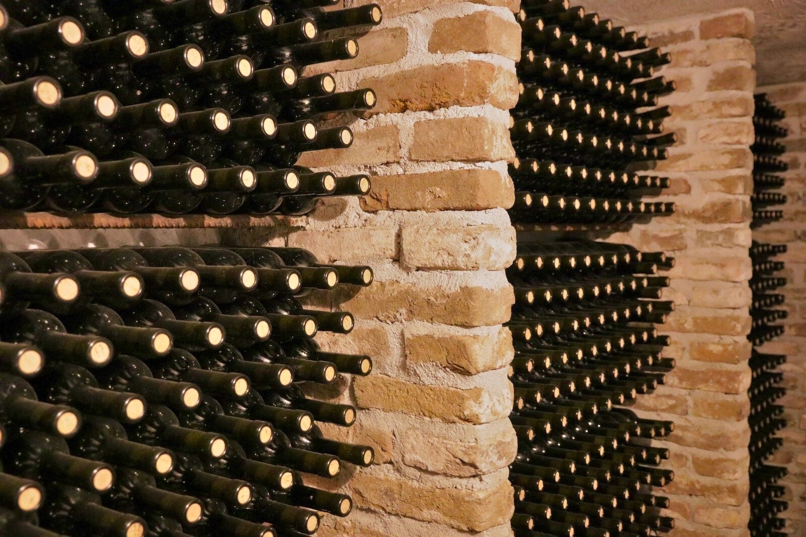 Wine cellar at Wijngoed Montferland