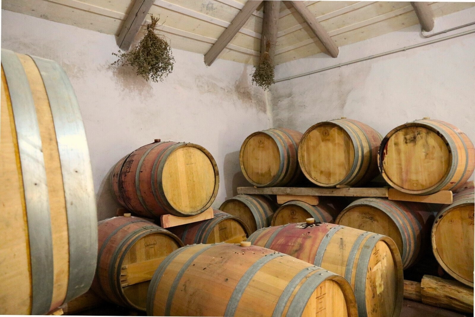 Aging red wine in barrels at Art & Wine Winery, Zakynthos