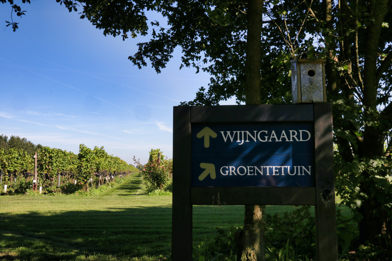 Entrance to the vineyards of Wijngoed De Reestlandhoeve