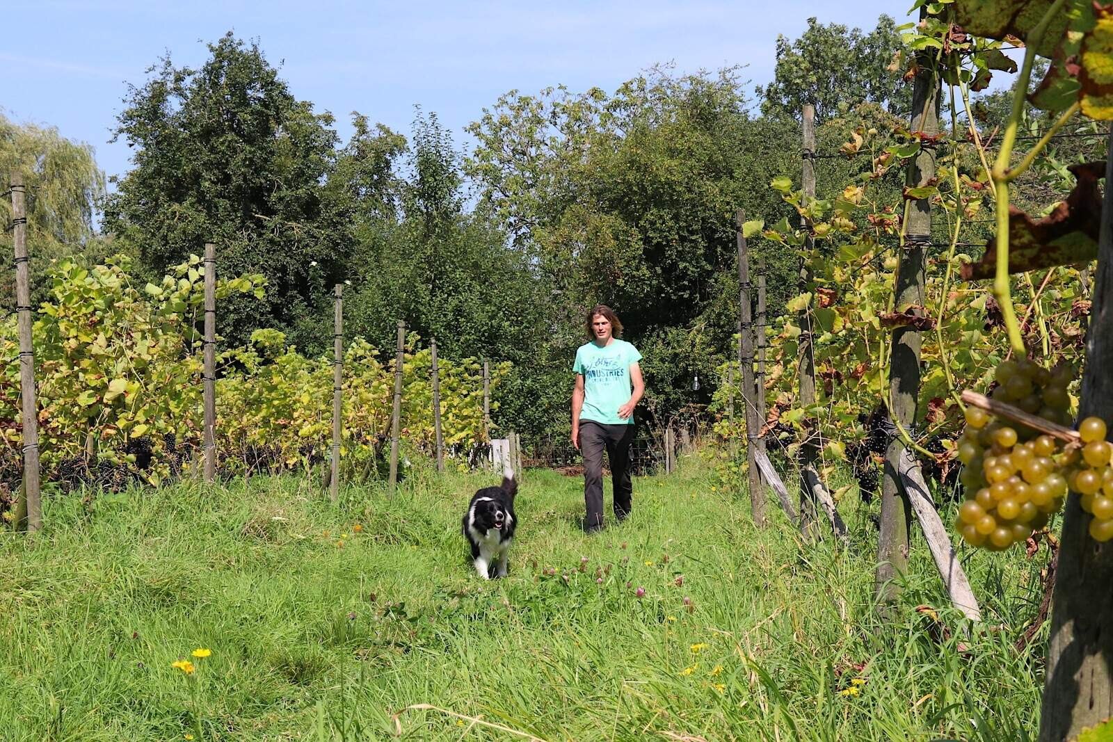 Winemaker Huib Overmars of winery Oude Waalstroom