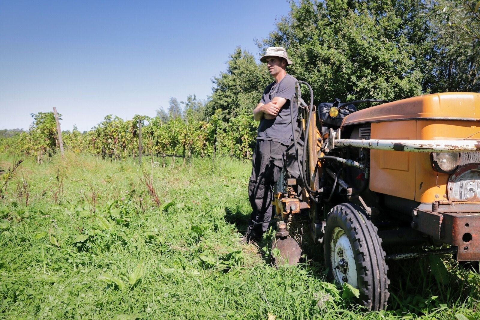 Dutch winemaker Ron Langeveld of Wijngaard Dassemus