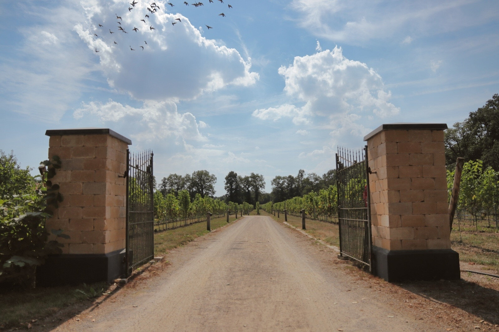 Entrance Wijngaard Hof van Twente, winery in Bentelo