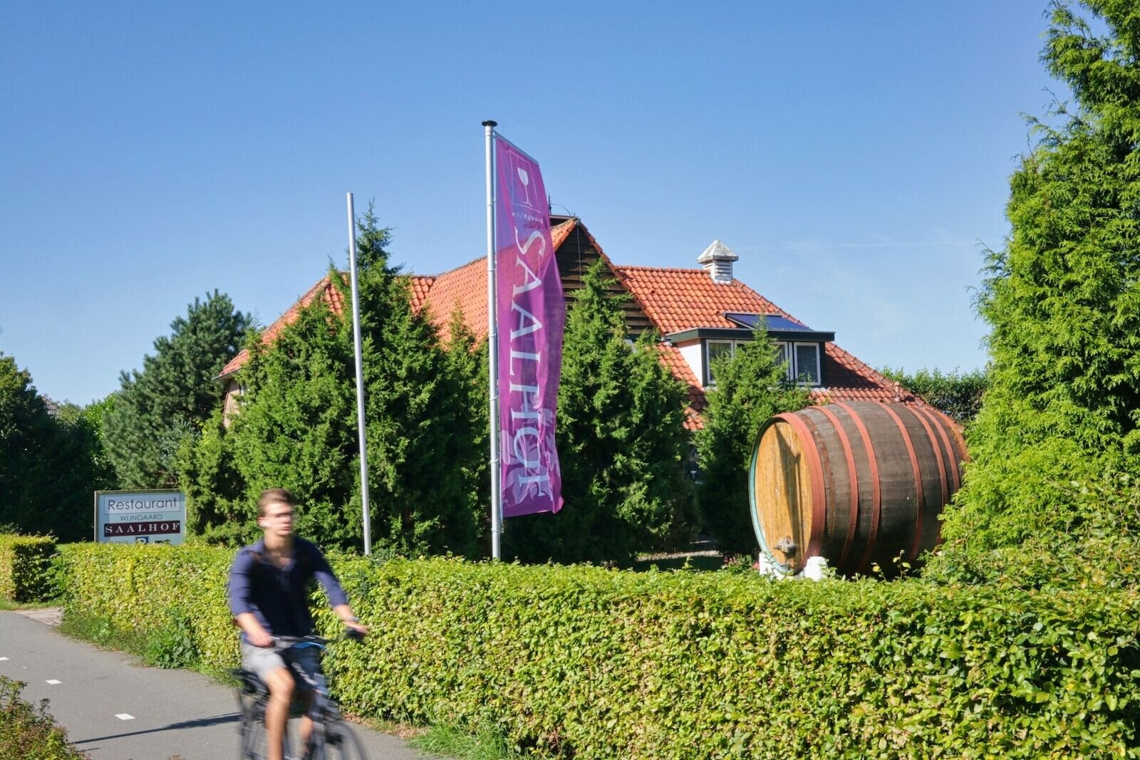 Dutch winery Wijngaard Saalhof along the Oosteinderweg in Wognum