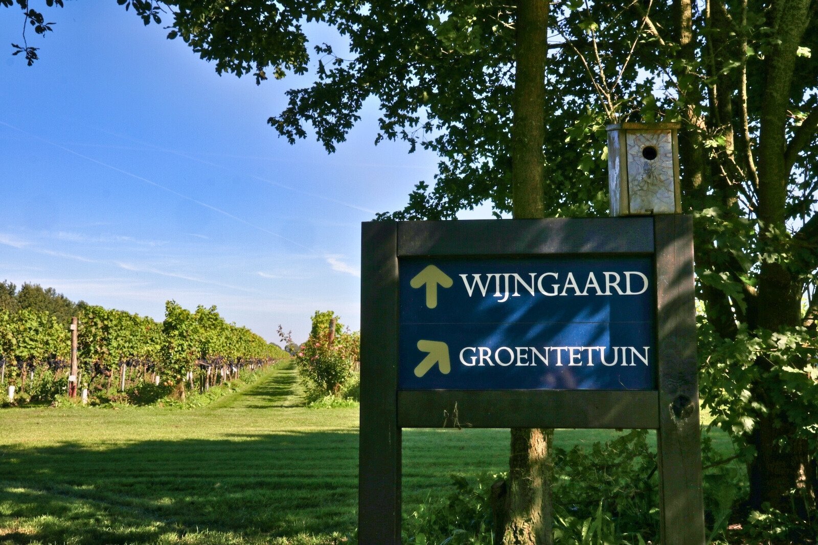 Entrance to the vineyards of Wijngoed De Reestlandhoeve in Overijssel