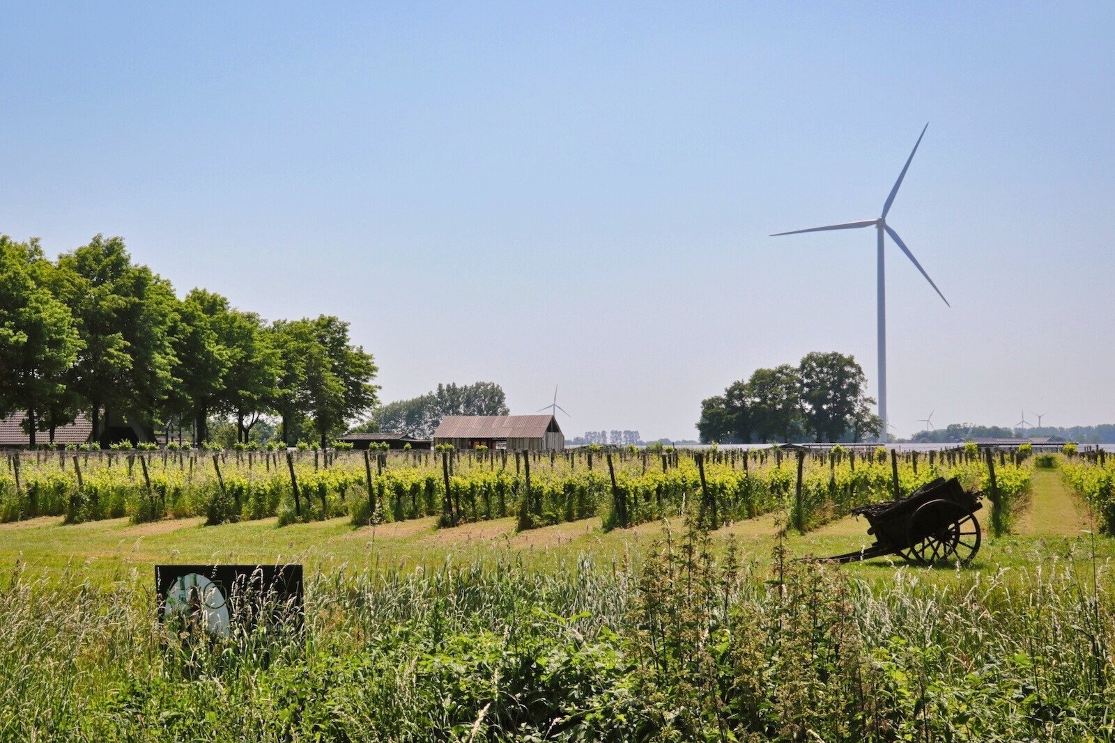 Wijngoed Montferland, winery in Gendringen