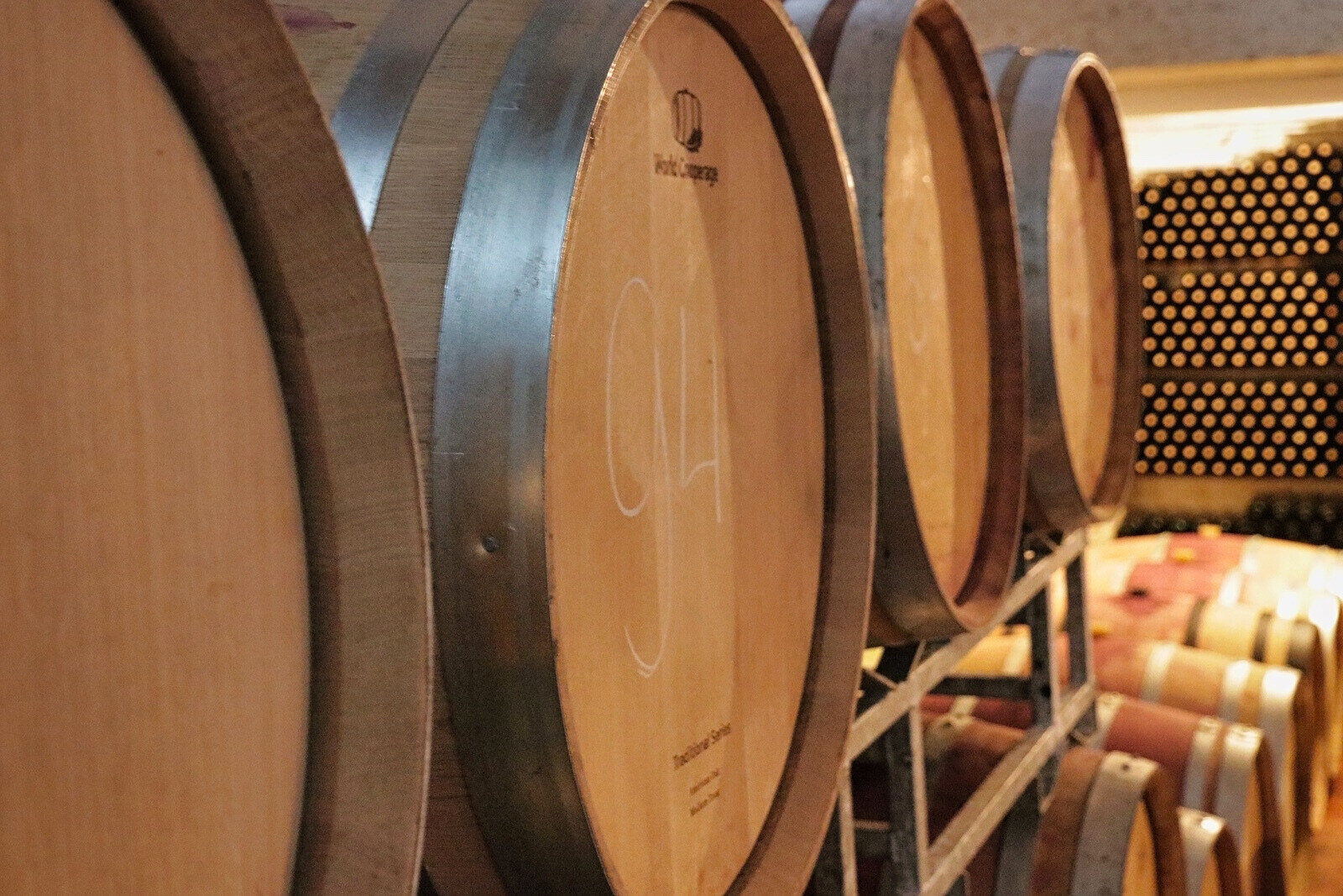 Wine barrels in the winecellar at Wijngoed Montferland