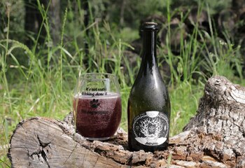 Bière de Lenoir, Jester King brewery. A barrel aged sour beer that is matured for eight to fourteen months before blending and refermention with Texas-grown Lenoir grapes.