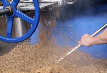 Collecting spent grain after brewing at Brouwerij Eleven