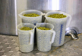 Hop pellets for brewing Kompaan craft beer