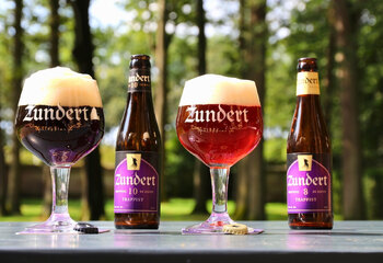 Zundert Trappist 8 and Zundert Trappist 10