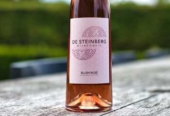 Blush Rosé wine from Belgian wine estate De Steinberg