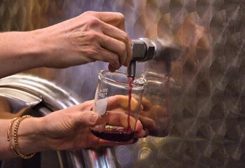 Genoelselderen Pinot Noir sample from the steel tanks in the wine cellar