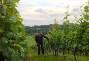 Dutch winemaker Mathieu Hulst of Apostelhoeve Wine Estate in Maastricht