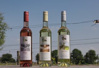 Selectie van witte en rosé wijnen van Wijngoed Montferland