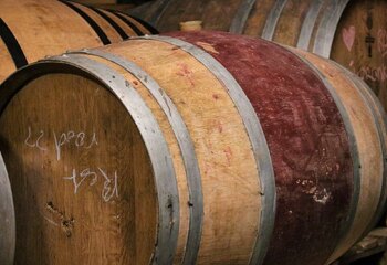 Barrels in the cellar of Wijngaard Dassemus in Chaam