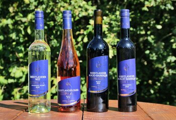 Selection of wines from Dutch winery Wijngoed De Reestlandhoeve