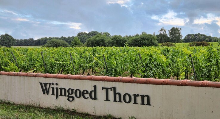 Thorn Winery